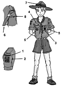 Schéma de placement des insignes sur l'uniforme